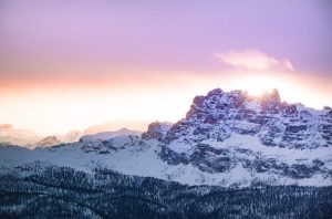 Gallardo defensa que s'han resolt les anomalies al transport públic