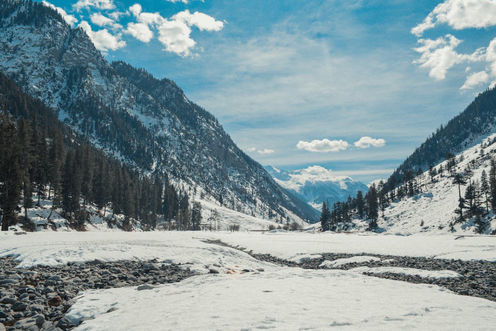 Gallardo defensa que s'han resolt les anomalies al transport públic