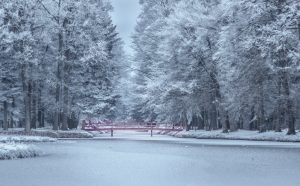 My Pyri, un programa de fidelització per a una experiència de compra millorada L'aplicació mòbil de Pyrénées Andorra s’actualitza: més visual, més ràpida i més segura