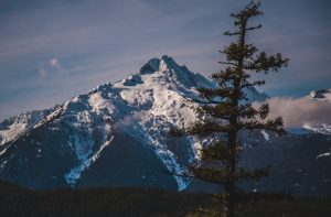 Crèdit Andorrà és reconegut com a Banc de l'Any d'Andorra pel grup Financial Times