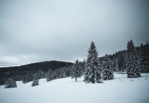 IPC avançat del 6,8 al novembre