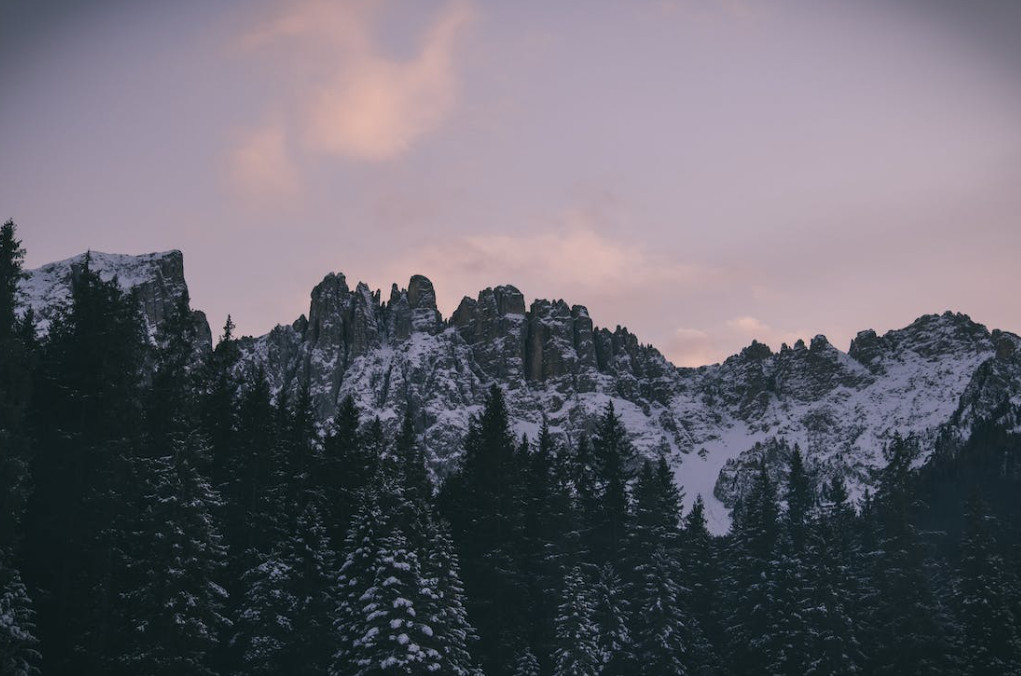 IPC avançat del 6,8 al novembre