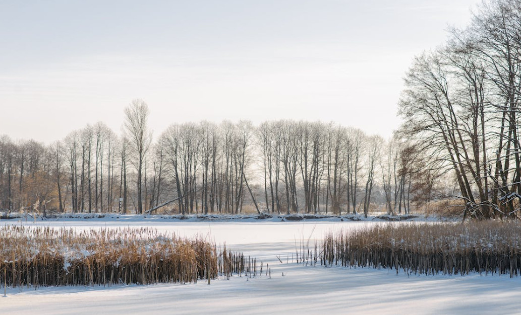 Circular pel túnel d'Envalira costarà 7,5 euros als cotxes l'any vinent Circular pel túnel d'Envalira costarà 7,5 euros als cotxes l'any vinent