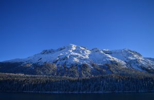 Andbus rep el certificat de llum verda És la primera companyia del sector del transport que certifica que el 100% de l'energia que consumeix és d'origen renovable