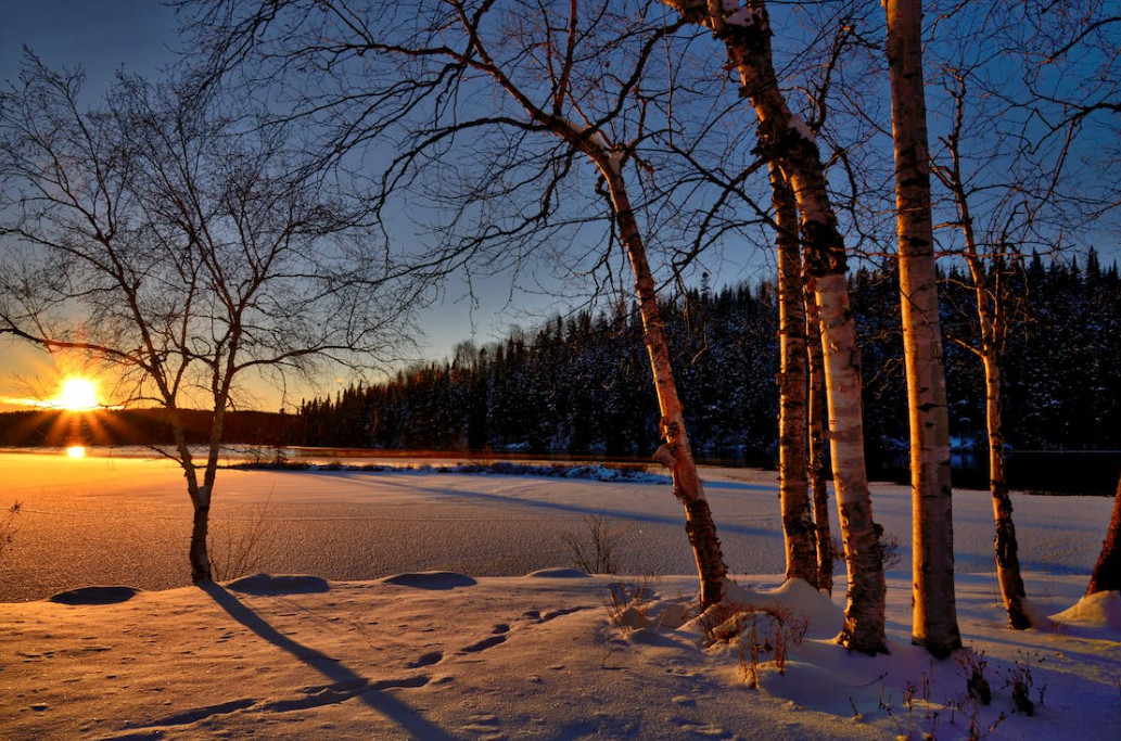 Pere López: "No n'hi ha prou que el Govern pagui les factures pendents, cal una compensació pels perjudicis que s'estan creant"
El grup parlamentari Socialdemòcrata ha entrat una pregunta amb resposta oral sobre la qüestió