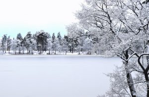 Expedient de Tributs a una empresa d'Eric Jover per no pagar impostos