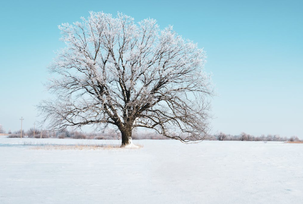 Expedient de Tributs a una empresa d'Eric Jover per no pagar impostos