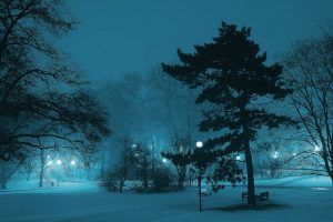 Nous autocars més còmodes i amb motors més eficients Els vehicles disposen de 53 places per a passatgers