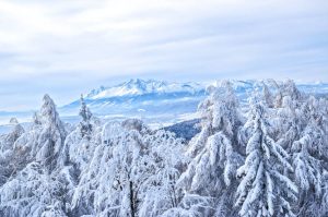 Vuit de cada deu llits ocupats pel pont de Reis Les poblacions amb més turistes han estat el Pas de la Casa i Andorra la Vella